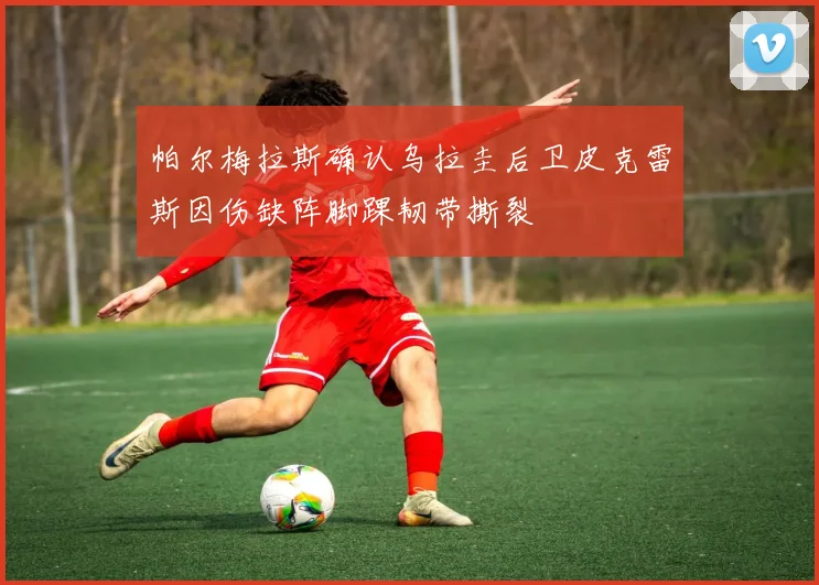 帕尔梅拉斯确认乌拉圭后卫皮克雷斯因伤缺阵脚踝韧带撕裂