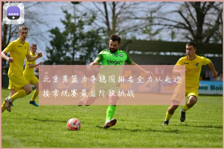 北京男篮力争稳固排名全力以赴迎接常规赛最后阶段挑战