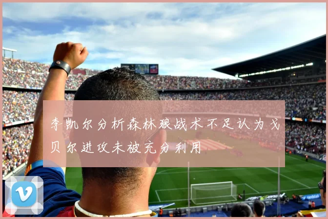 李凯尔分析森林狼战术不足认为戈贝尔进攻未被充分利用