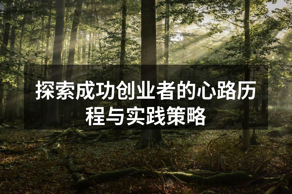 探索成功创业者的心路历程与实践策略