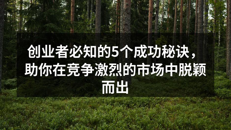 创业者必知的5个成功秘诀，助你在竞争激烈的市场中脱颖而出