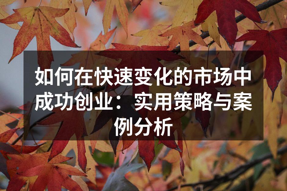 如何在快速变化的市场中成功创业：实用策略与案例分析